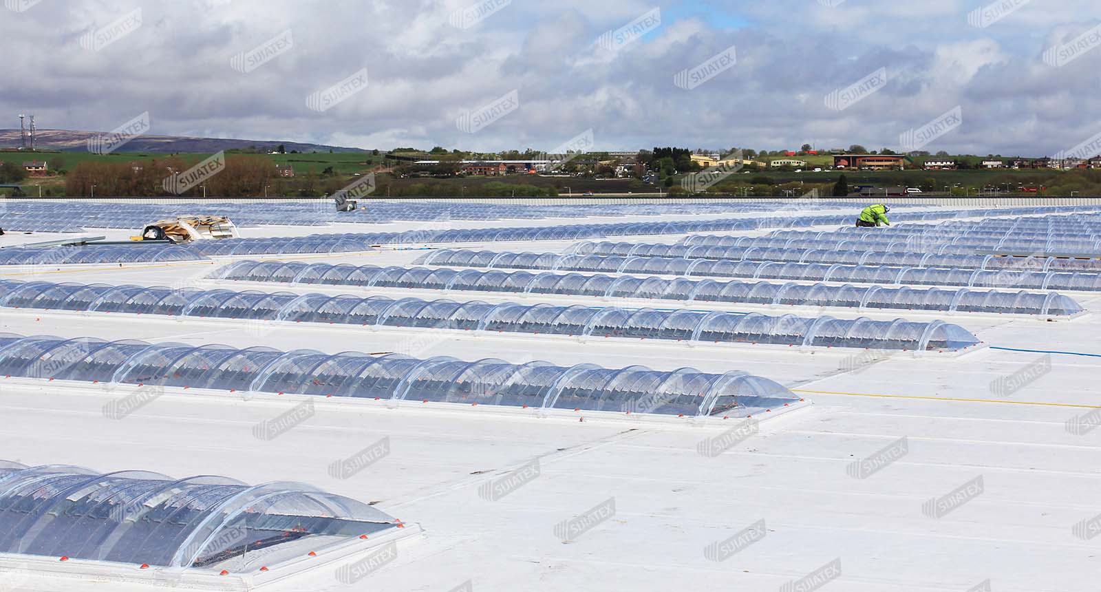 ���̽���